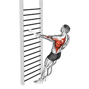 bodyweight standing one arm row (with towel) 动作演示