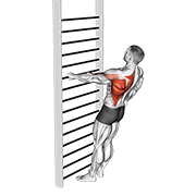 bodyweight standing one arm row dimostrazione dell’esercizio