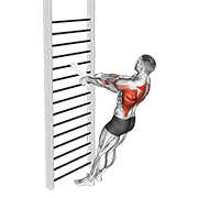 bodyweight standing row (with towel) egzersiz gösterimi