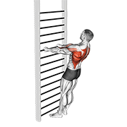 bodyweight standing row exercise demonstration
