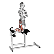 glute-ham raise dimostrazione dell’esercizio