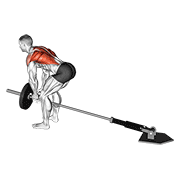 lever bent-over row with v-bar dimostrazione dell’esercizio