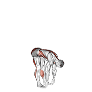 basic toe touch (male) exercise demonstration