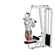 cable assisted inverse leg curl dimostrazione dell’esercizio