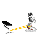 resistance band hip thrusts on knees (female) 动作演示