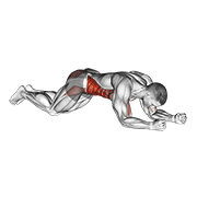 kneeling plank tap shoulder (male) 动作演示