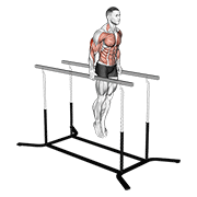 elbow dips exercise demonstration