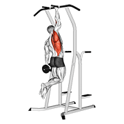 weighted one hand pull up 动作演示
