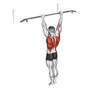 archer pull up egzersiz gösterimi