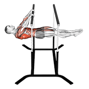 front lever reps exercise demonstration