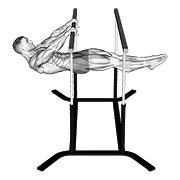 front lever 动作演示