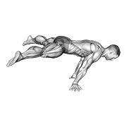 straddle planche exercise demonstration