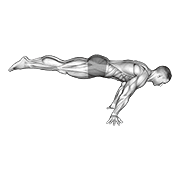 full planche exercise demonstration