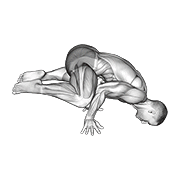 frog planche exercise demonstration