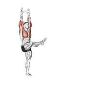 handstand dimostrazione dell’esercizio