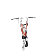 weighted muscle up (on bar) egzersiz gösterimi