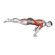full planche push-up 动作演示