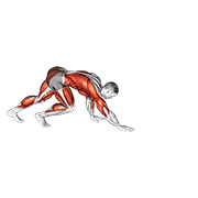 bear crawl exercise demonstration