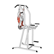 l-pull-up egzersiz gösterimi