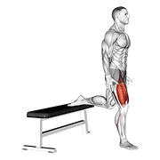 quads exercise demonstration