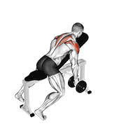 dumbbell incline t-raise egzersiz gösterimi