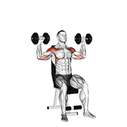 dumbbell seated alternate shoulder egzersiz gösterimi