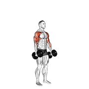 dumbbell standing alternate hammer curl and press dimostrazione dell’esercizio