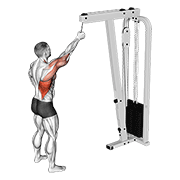 cable one arm pulldown exercise demonstration
