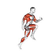 wheel run exercise demonstration