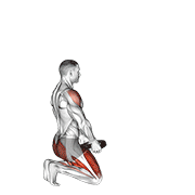 weighted kneeling step with swing exercise demonstration