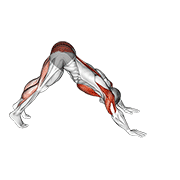 pike-to-cobra push-up dimostrazione dell’esercizio