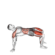 reverse plank with leg lift egzersiz gösterimi