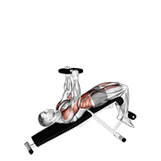 weighted decline sit-up egzersiz gösterimi