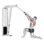 cable kneeling rear delt row (with rope) (male) exercise demonstration