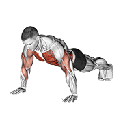 shoulder tap exercise demonstration