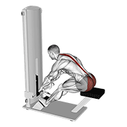 lever seated good morning exercise demonstration
