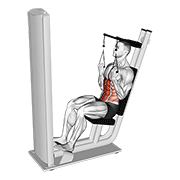 lever seated crunch v. 2 动作演示